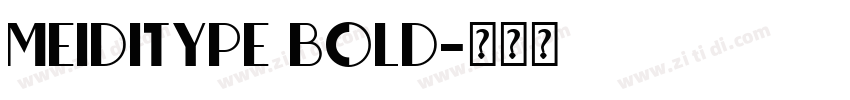 MEIDITYPE BOLD字体转换